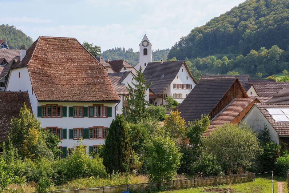 A scenic view of a small European village with traditional hillside houses featuring white walls, dark wooden accents, and red-tiled roofs, set against green, forested hills in the background. In the foreground, there is lush garden foliage with various shrubs and trees, including a tall conifer in the center. A white church with a pointed steeple and a clock tower is visible among the buildings, indicating a quiet, rural community. The lighting is natural daylight, creating clear visibility of the textures and colors of the buildings and greenery, exemplifying typical residential architecture that could be associated with local or private waste management practices, such as rubbish removal or on-site clearance services offered by companies like Rubbish Removal Swiss Cottage.