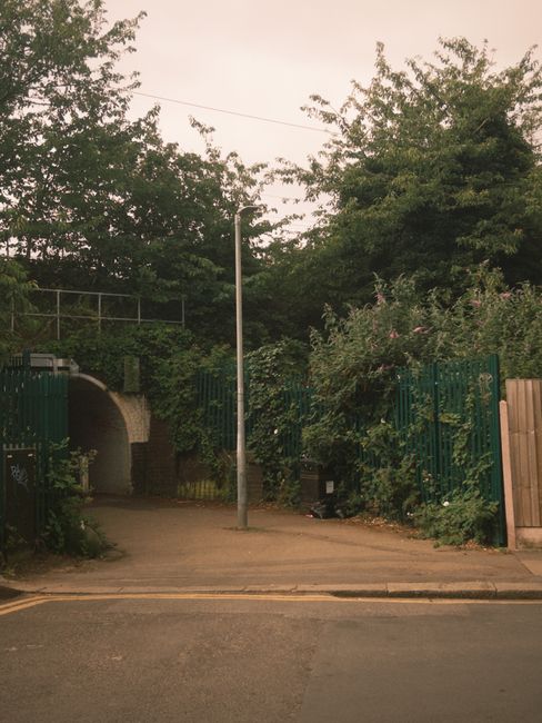 A small, paved entranceway leading to a pedestrian pathway beneath a brick archway, situated in a residential area with greenery on both sides. The scene features a tall, slim street lamp positioned centrally at the entrance, with a background of dense trees and shrubs providing natural foliage. The right side is bordered by a green metal fence partially covered by flowering plants, while the left side includes a partial view of a gate and additional greenery. The pavement appears clean, and the overall atmosphere is calm, with diffused natural light suggesting late afternoon or early evening. This setting may relate to private waste collection or on-site clearance options, consistent with independent rubbish removal services. The scene aligns with a context of waste handling in a suburban environment, typical for professional rubbish removal companies operating in residential streets.